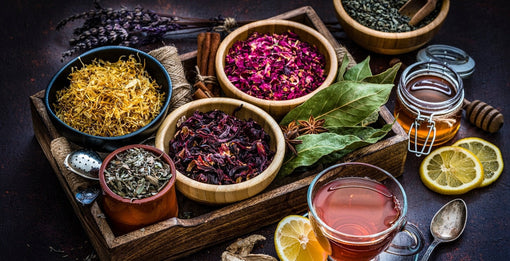 Welcome to the Wholistic Blends Journal: A Return to the Roots